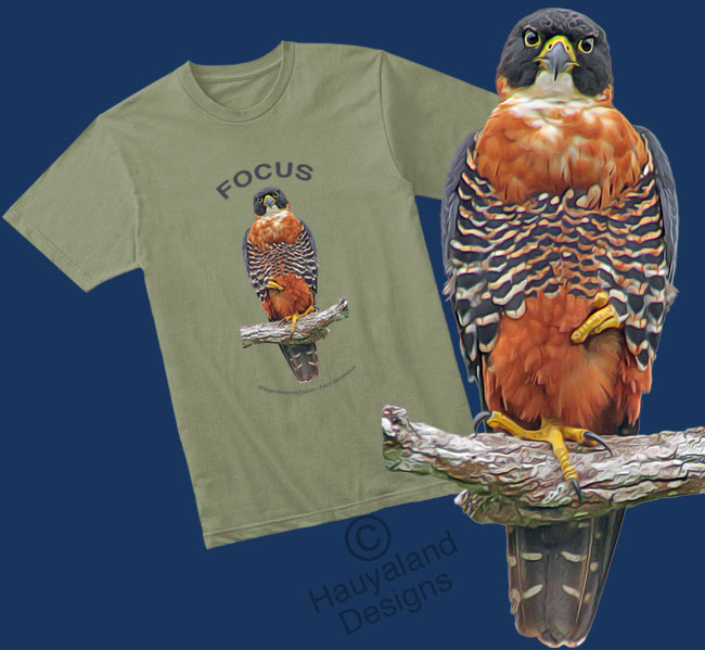 falcon shirt