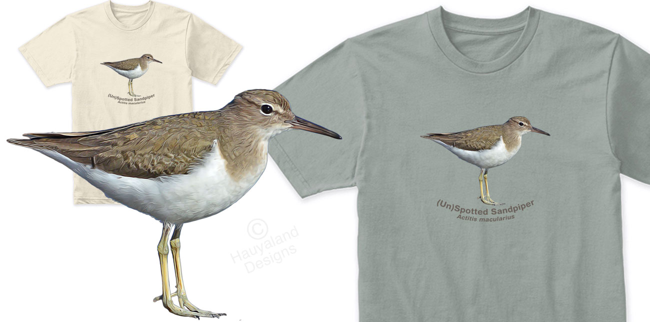 Spotted Sandpiper shirt