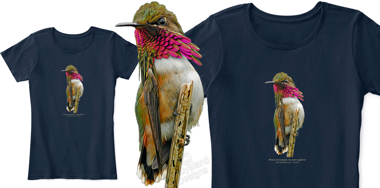 Wine-throated Hummingbird shirt